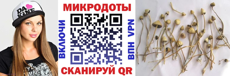 Галлюциногенные грибы MAGIC MUSHROOMS блэк спрут Таруса
